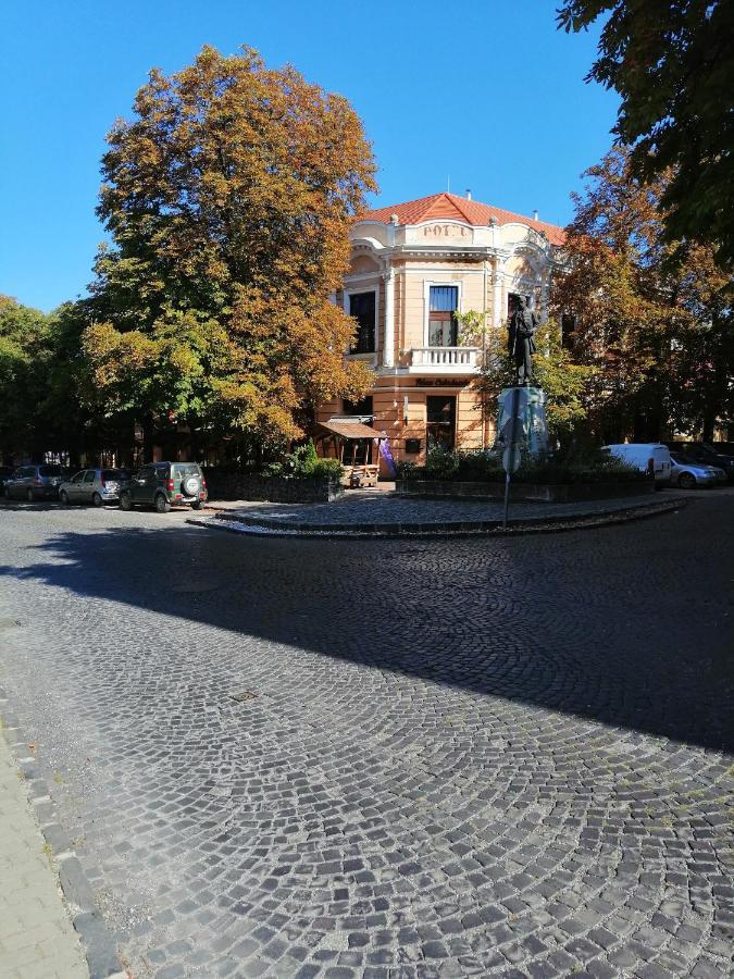 Kisfaludy Vendeghaz -Suemeg- Luaran gambar